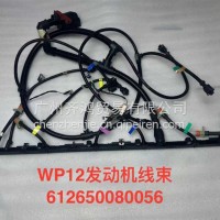 621650080056发动机线束WP12山东/621650080056