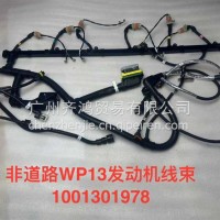 1001301978发动机线束WP13山东/1001301978