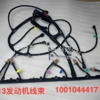 1001044417发动机线束WP13山东/1001044417