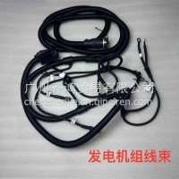 WP12发电机组线束WP12山东/WP12