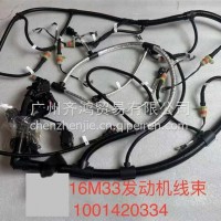 10011420334发动机线束杜博安16M33山东/10011420334