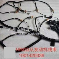 1001420336发动机线束杜博安16M33山东/1001420336