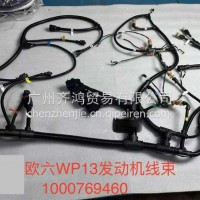 1000769460发动机线束WP13山东/1000769460
