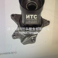 202V06609-5013/202V06609-5013