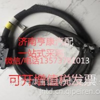 潍柴发动机配件 潍柴整车线束610800080171/ 重汽 潍柴 发动机总成及配件