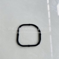 国六异形密封圈/1002258050/1002258050