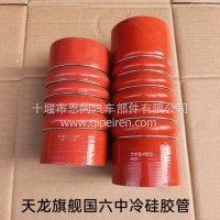 进气胶管总成-中冷器/1119120-H02C0
