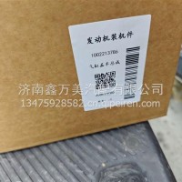 1002213786气缸盖P6配套/1002213786