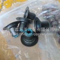 1000549569气门油封P13润蚨祥/1000549569
