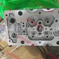 1004743646气缸盖配套/1004743646
