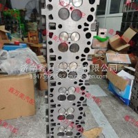 1001592523气缸盖P8/1001592523