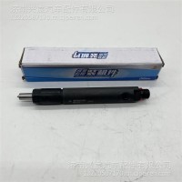 VC2501038-1000726265-喷油器/1000726265