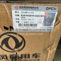 4H机油冷却器芯 带座/1012BF11-010