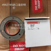 4955665M11前油封/4955665