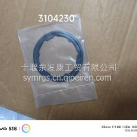 3104230 EGR阀密垫/3104230