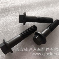 六角法兰面螺丝/Q1861255-0H1