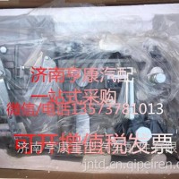 潍柴发动机配件 潍柴专用喷油泵总成1000167062Y/ 重汽 潍柴 发动机总成及配件