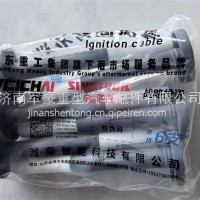 202V25919-0012点火线圈总成（MT13 国六)重汽202V25919-0012/G010114874