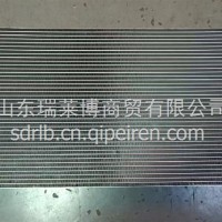 空调冷凝器总成/WG1671820059