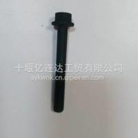 康明斯 3043647 六角法兰面螺栓 SCREW，HEX FLANGE HEAD CAP/3043647/3043647