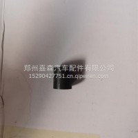 滑动轴承/10643070