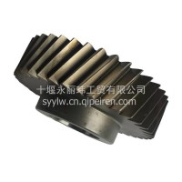 1316303030 高精度斜齿轮 工业设备传动齿轮厂家直供/1316.303.030