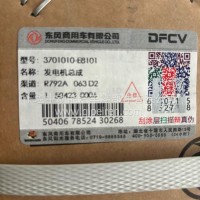 发电机总成/3701010-E8101