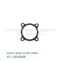 B3.3 接头密封垫/6204114850 /6136114850
