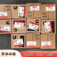 轮渡船辅助动力机组2881745-10活塞环组（38重康）/2881745