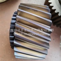 LHZLZQC2000输入低档齿轮LHZL-F2000-5.75M-28Z-1ZS/LHZL-F2000-5.75M-28Z-1ZS