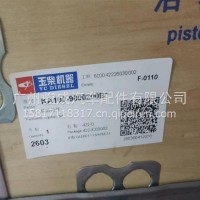 玉柴发动机六配套/KA100-9000200