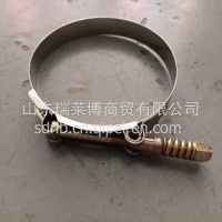 强力卡箍 /WG9003980060