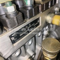 玉柴6108泵BH6PW110010/6PW858-1100-1300/6PW858-1100-1300