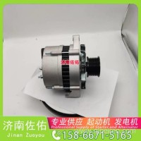 30051600041起动机QC480Q-22000发电机/QDJ2918A-X， 1002973454，