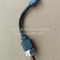 轨压传感器C4954245/C4954245