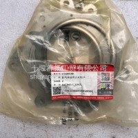 排气节流阀密封垫C5689580/C5689580