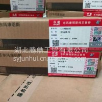 ISDE喷油器总成/4988835