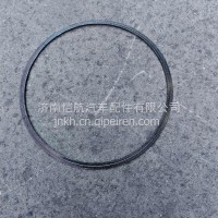 306*282*1.6解放JH6石墨垫片 (钢丝锥度）解放JH6/306*282*1.6