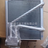 蒸发器总成带膨胀阀8103020-C1101/8103020-C1101