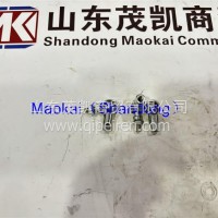 WG92570025油门球头（6×6）重汽茂凯/WG92570025