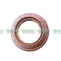 输入油封/QT440SN1-2402250