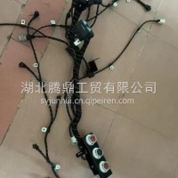 发动机电控模块线束/2873778