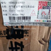 排气歧管带隔热包裹总成-中/1008531-E9501
