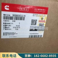 几内亚西芒杜铁矿徐工矿机发动机冷却泵4372338-20/4372338-20