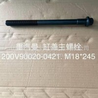 原厂重汽曼MC11发动机专用缸盖主螺栓专注出口200V90020-0421/200V90020-0421