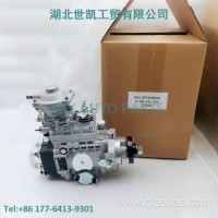 0460424234VE泵发动机喷油泵总成/0460424234