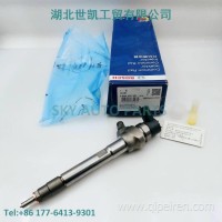 0445110363/0986435303 博士高压共轨喷油器总成/0445110363