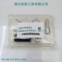 095009-6070电装共轨喷油器大修包/095009-6070