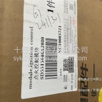 G15N点火模块5515646/5515646