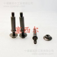 适用于康明斯ISDE发动机配件气阀室罩盖双头螺栓/4896991